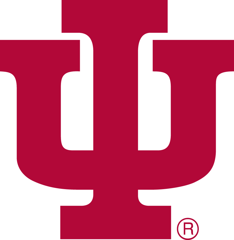Indiana Hoosiers 1976-1981 Primary Logo iron on transfers for T-shirts